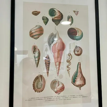 Gatu Gadir, Preferente Mayores De 25 Anos Y Familias Lägenhet