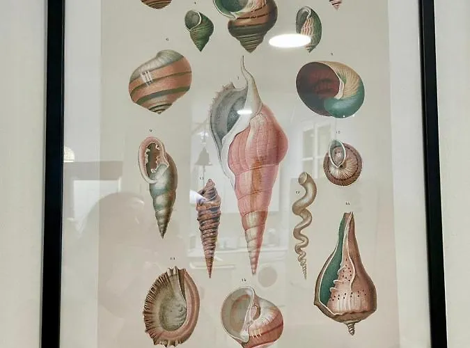 Gatu Gadir, Preferente Mayores De 25 Anos Y Familias Lägenhet